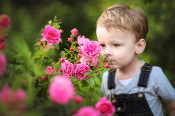 trẻ thu hái và đếm số hoa trong vườn